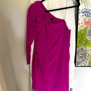 Robert Rodriguez fuchsia one should bias cut silk dress